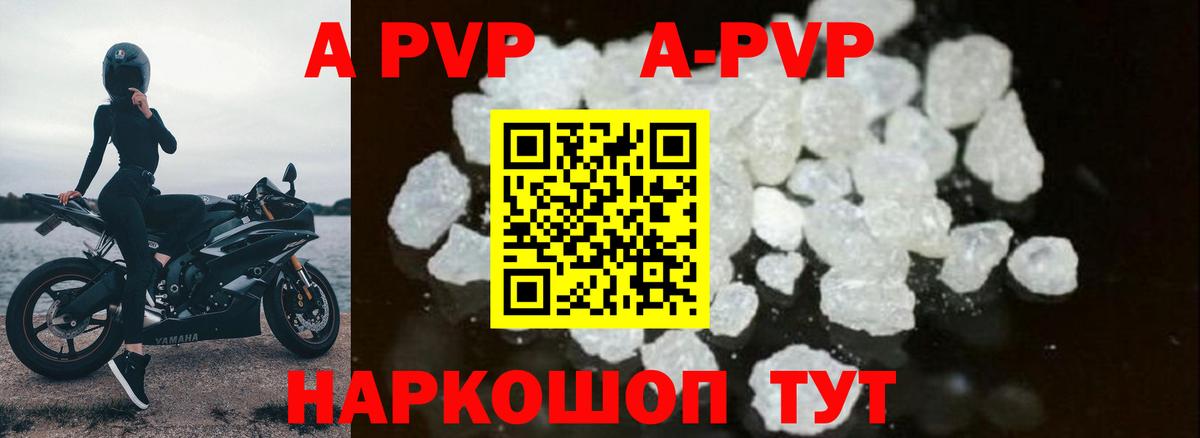 A-PVP СК КРИС Ставрополь