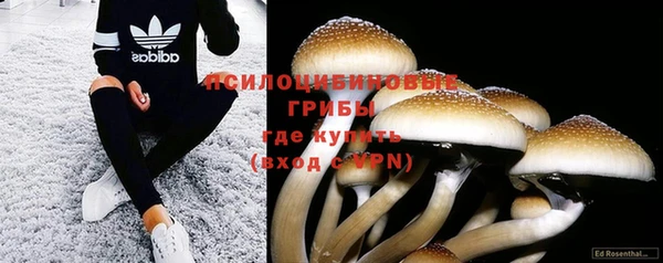 героин Нягань