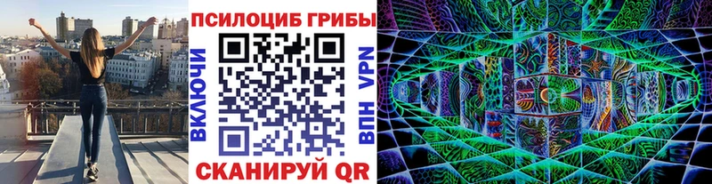 Галлюциногенные грибы прущие грибы  Ставрополь 