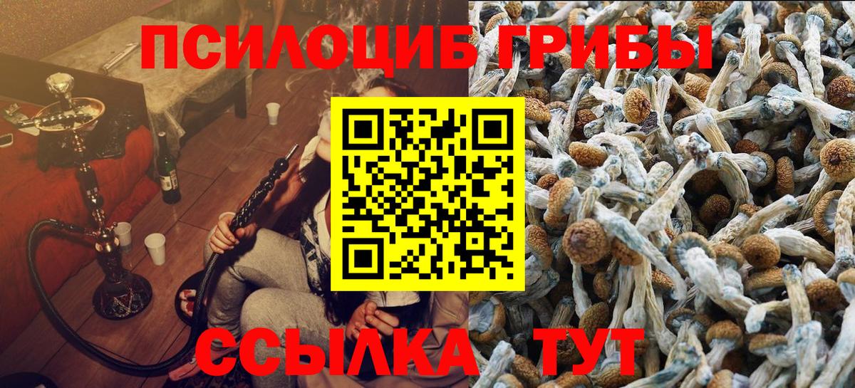 Ставрополь  Галлюциногенные грибы Psilocybine cubensis  Вход с VPN 